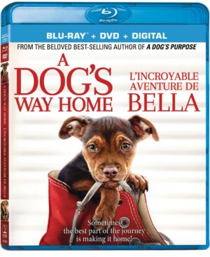 A Dog's Way Home [Blu-ray + DVD + Digital HD]