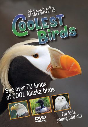 Alaska's Coolest Birds