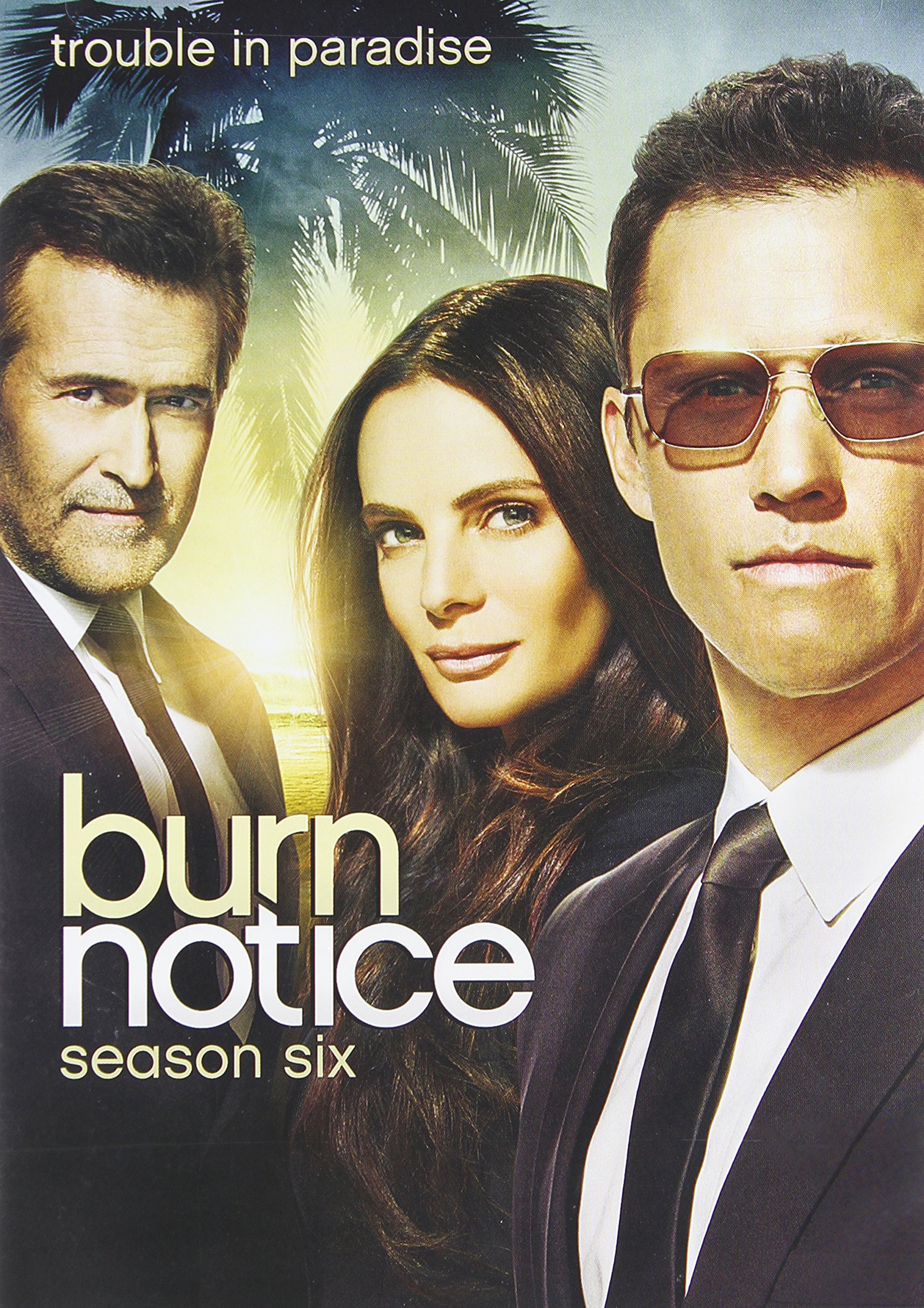 Burn Notice: Season 6