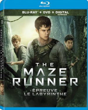 Maze Runner