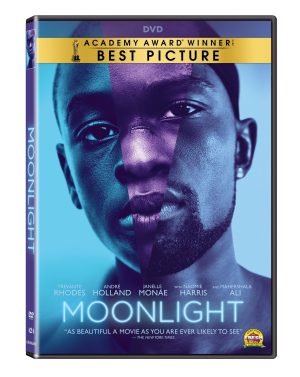 Moonlight - DVD