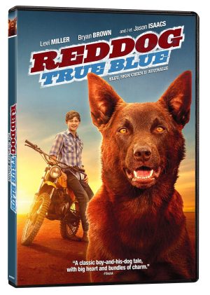 Red Dog True Blue // Blue,Mon Chien D'Australie