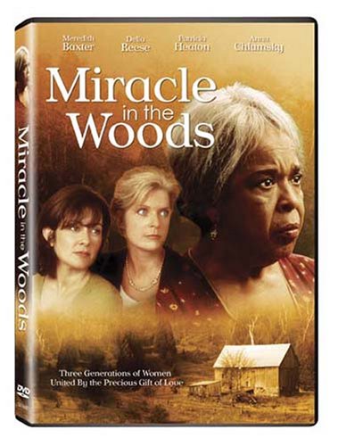 Miracle in the Woods