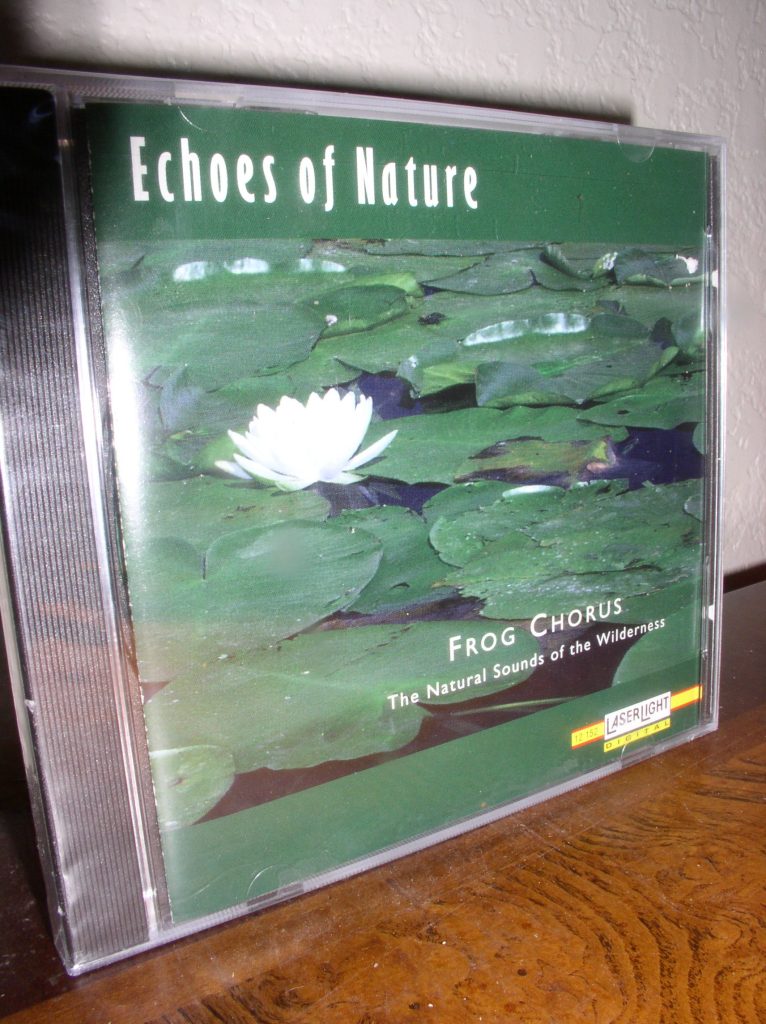 Echoes of Nature: Frog Chorus